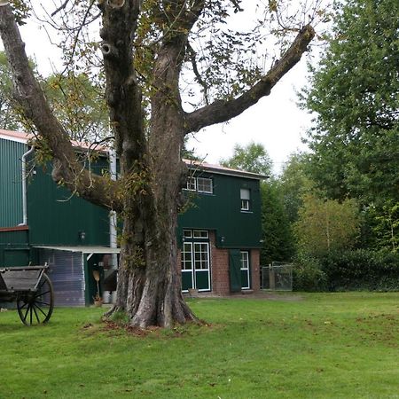 Ferienwohnung Weideglueck Osten Eksteriør billede
